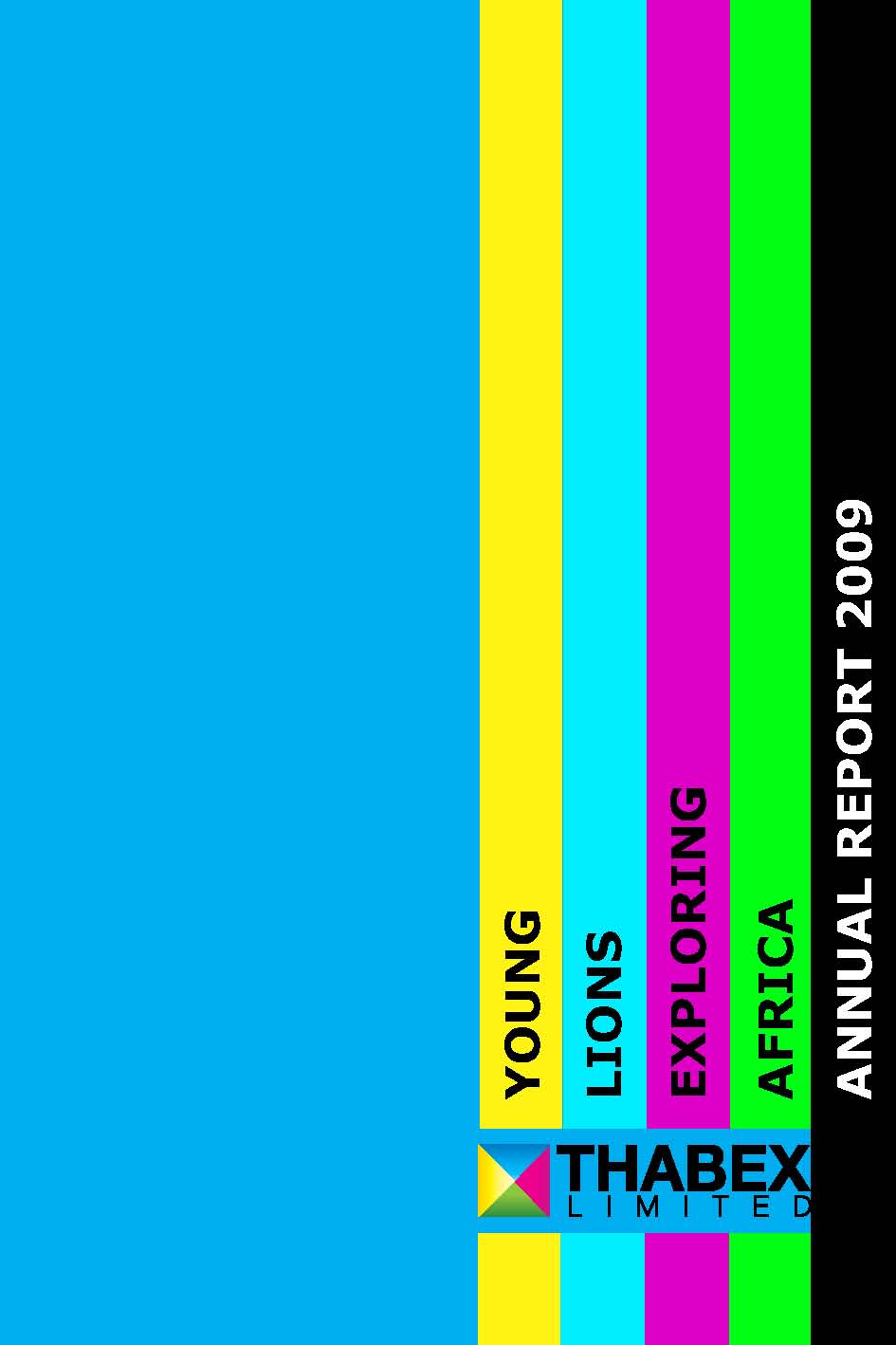 Thabex Annual Report 2009